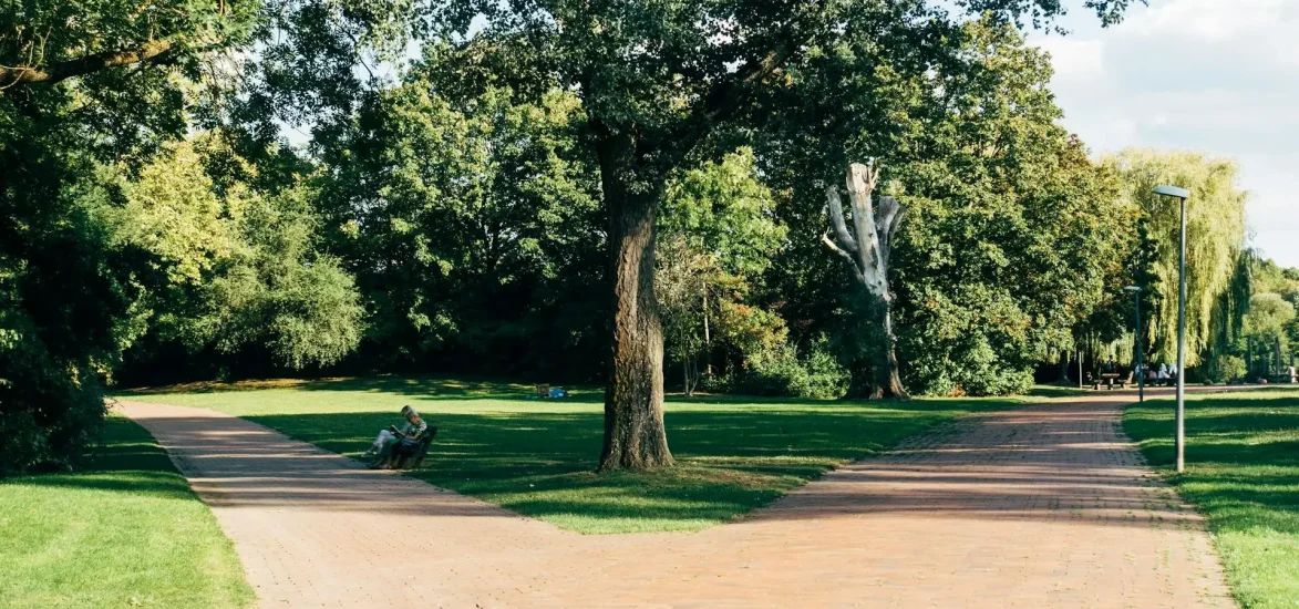 Nature park with 900 trees